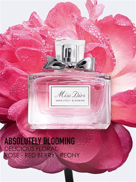 reviews miss dior absolutely blooming|Miss Dior absolutely blooming price.